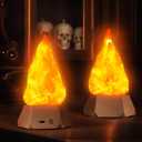 BlcTec Flickering Flame Lamp USB Rechargeable, 3D Fake Fire Night Light with 35H Runtime, 3 Modes, IP44 Waterproof, Realistic Flame Effect for Indoor/Outdoor Halloween, Camping, Home Decor, 2 Packs