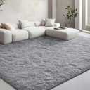 EVOIONOS Ultra Soft Area Rug for Bedroom, 4x6 Machine Washable Fluffy Shag Rug for Living Room, Plush Non Slip Carpet for Indoor Floor Bedside Nursery Kids Girls Room Dorm, Home Decor Aesthetic, Grey