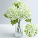 Fake Green Hydrangea Artificial Flowers Bouquet 3pcs Real Touch Silk Fake Hydrangeas Heads with 176 Petals and Stems Fall Faux Hydrangeas Flowers for Table Centerpieces Party Floral Arrangements