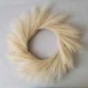 Faux Pampas Grass Wreath - 23" Fluffy Artificial Reed Wreath Boho Decor for Home, Office and Boho Party Decorations,Beige