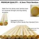 100Pcs 2ft/24in Bamboo Plant Stakes, Garden Stakes, Bamboo Stakes for Tomato, Beans, Potted Plants, Smores Sticks for Fire Pit, Natural Support for Gardening, BBQ, Camping, Home Cooking