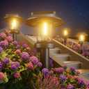 ALEPOD Solar Pathway Lights Outdoor - 8 Pack Solar Powered Garden Lights Waterproof IP65, Decor Landscape Lighting with Three Lighting Modes for Yard, Lawn, Walkway, Driveway, Warm White