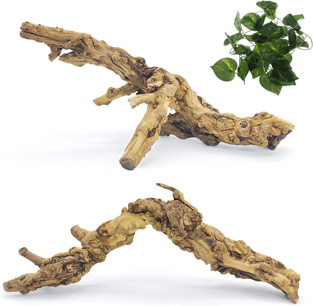 VCEPJH 2 Pack Reptile Wood Branches, Snake Climbing Branch Natural Bearded Dragon Log Tank Accessories Tree Trunk for Chameleon Gecko Snake Frog Spider