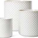 LE TAUCI Ceramic Pots for Plants, 10/8/6 Inch Indoor Planters with Draiange Hole, Silicone Plug & Mesh Pad, Modern Rasied-Dots Pots for Home Office, Set of 3, Glossy, Arctic White