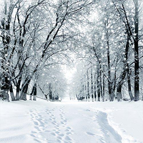 SJOLOON Winter Backdrop Snow Photography Backdrop Customized Vinyl Photo Background Studio JLT-9207 (10x10FT)