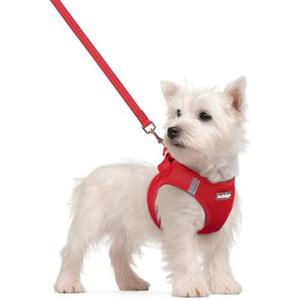 rabbitgoo Dog Harness Small Sized and Leash Set, Step in Soft Light Puppy Vest, Breathable Mesh Pet Harness, Reflective for Safe Easy Walking, Red, Size: XS