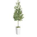Artificial Olive Tree 6ft - Realistic Tall Fake Plants for Office Living Room Bedroom Home Decor Indoor - Faux Floor Green Silk House Corner Large Potted Plants