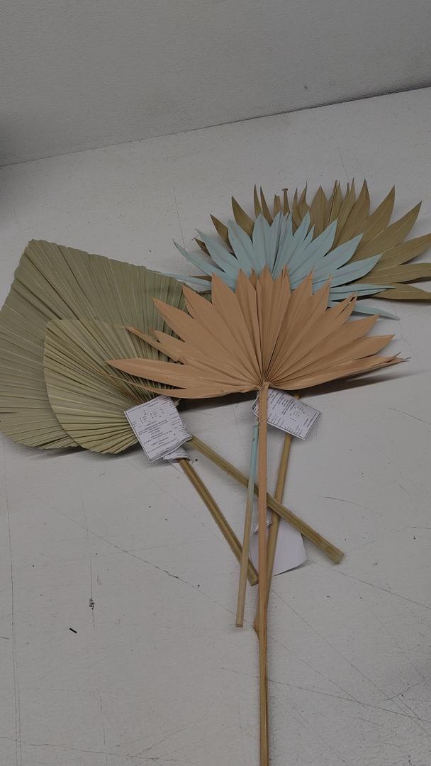 Spring Summer Declaration, 5 Pack