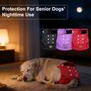 Female Dog Diapers - Reusable Diapers for Doggie in Heat - Highly Absorbent for Pet Incontinence with Adjustable Snaps (Pack of 3) Red, M (Red,Black&Purple)