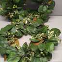 22-24" Eucalyptus Wreaths for Front Door,Spring Summer Fall Autumn Winter Wreaths,Large Eucalyptus Greenery Wreath with Olive Leaves Berries for Front Door Outdoor Farmhouse Decor All Seasons, Pack of 2