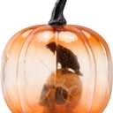 Afirst Halloween Decorations Indoor Lighted Halloween Fall Pumpkins Illuminated Glass Pumpkin with Skull Crow for Thanksgiving Fireplace Tabletop Party Home Bedroom Decor Gift