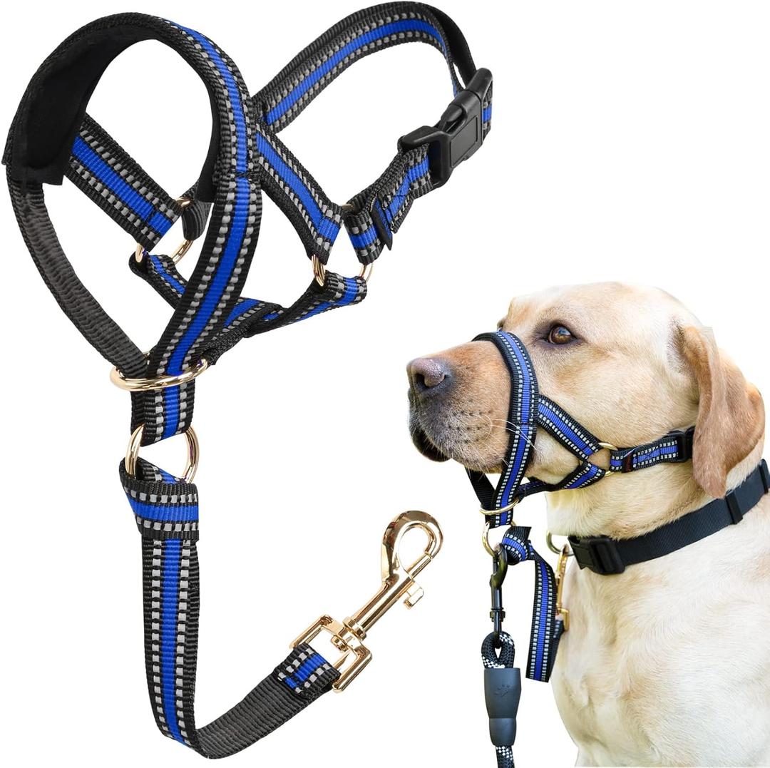 BARKLESS Muzzle Leash for Heavy Pullers, No Pull Stylish Head Halter for Large Aggressive Dogs, Gentle Dog Face Harness Stops Pet Pulling and Choking on Walks, Adjustable Head Collar (L (Snout Cir: 11"-12), Blue)
