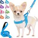 Lukovee Dog Harness and Leash Set, Soft Padded Small Dog Harness, Neck & Chest Adjustable Reflective Vest Puppy Harness with 4ft Lightweight Anti-Twist Dog Leash for Small Dogs (Light Blue, X-Small)