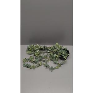 Der Rose 1Pcs Fake Plants Hanging Artificial Potted Faux Eucalyptus Plants for Modern Boho Farmhouse Bathroom Office Desk Wall Art Shelf Living Room Aesthetic Decor Indoor (Grey)