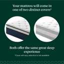 Zinus 12 Inch Comfort Support Hybrid Mattress [New Version], Full, Fiberglass Free, Medium Plush, Motion Isolation, Certified Safe Foams & Fabric, Mattress in A Box
