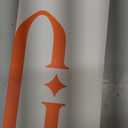 GVIEWIN for iPhone 17 Pro Max Case Compatible with MagSafe [Curly Wave Edge][Full Camera Protection] Floral Translucent Shockproof Magnetic Women Phone Case for 17 Pro Max, Autumnflit/Brown