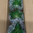 OLEEK small fake plants office decor - fake succulents plants artificial for desk decor - fake plant office decorations for work - office decor for women - office plants cubicle accessories room decor