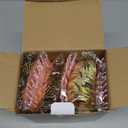 Lullaby 150PCS Gold Plastic Silverware - Disposable Flatware with Pink Handle, Includes 50 Knives, 50 Forks, 50 Spoons, Utensils Plastic disposable for Wedding, Party and Mother's Day