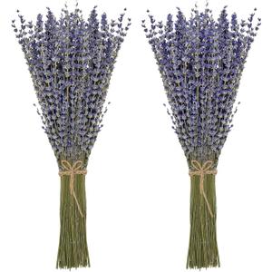 Timoo Dried Lavender Bundles 100 Natural Dried Lavender Flowers for Home Decoration, Photo Props, Home Fragrance, 2 Bundles Pack