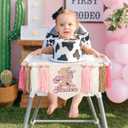 My First Rodeo High Chair Tassel Banner - 1st Birthday Party Decorations, Western Cowboy Theme, Farm Baby Shower, Photo Props, First Rodeo Cake Smash Decor, Rustic Wild West Celebration (Pink Cowgirl)
