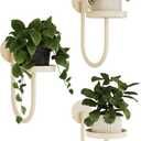 Bamworld Wall Plant Holder Wall Planters for Indoor Plants Plant Hanger Indoor Window Plant Shelves Hanging Plant Holder Window Plant Hanger Plant Decor White 3pcs