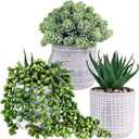 Set of 3 Assorted Small Potted Succulent Plants Fake Aloe String of Pearls Hops Succulents in Gray Geometric Concrete Ceramic Pots for Gifts Modern Home Office Desk Table Indoor Outdoor Greenery Decor
