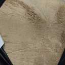 jinchan Solid Plush Area Rug 5x7 Performance Shaggy Washable Rug Indoor Soft Modern Faux Wool Cozy Non Slip Carpet for Living Room Kids Room Bedroom Dining Room Nursery Tan