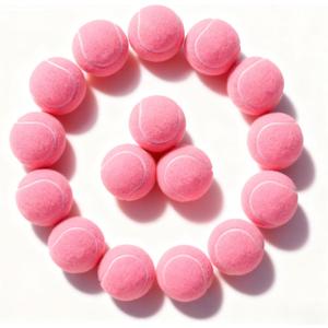 PoyPet 16-Pack Tennis Balls Bulk for Practice,Training and Beginners | Ideal for Dog Fetch,Chew and Play (Medium 2.5"-16 Pack, Pink)