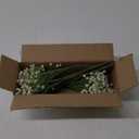 Baby's Breath Artificial Flowers Bulk 10 Pack (30pcs) Faux Baby Breath Plastic Flower Fake Gypsophila Flower Arrangement for Crafts Fake Flowers Bouquet for Wedding Centerpieces Cream Baby Breath