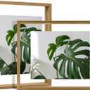 Egofine 11x14 Floating Frames Set of 2, Double Plexiglass Picture Frame, Made of Solid Wood Display Any Size Photo up to 11x14, Wall Mount or Tabletop Standing, Carbonized