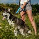 4 x Dog Leash, Short Dog Leash, Leashes for Large Breed Dogs,Traffic Padded Handle- Reflective Training Lead, Perfect for Medium to Large Dogs(12 Inch, Blue)