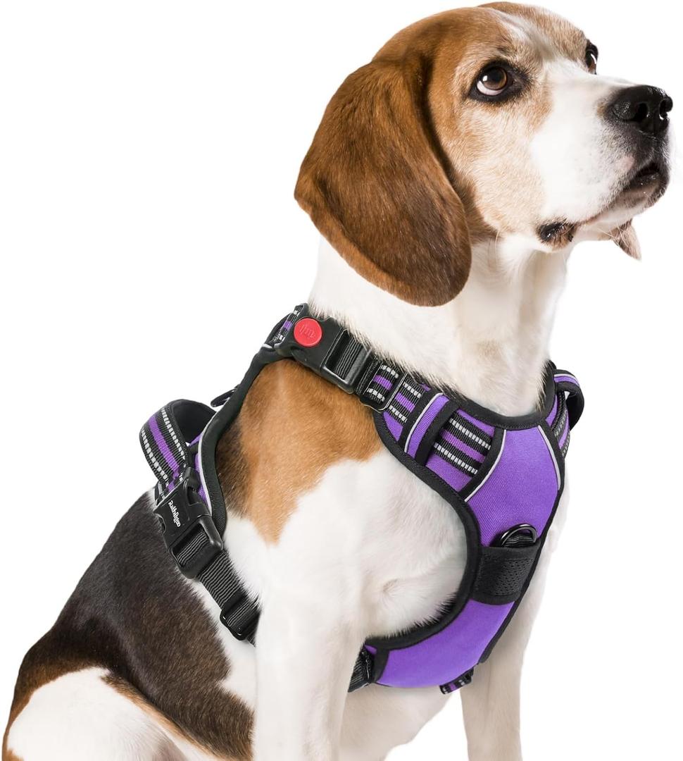 Rabbitgoo Dog Harness Medium Sized, No Pull Pet Harness with 3 Buckles, Adjustable Soft Padded Vest with Control Handle, Walking Reflective Pet Vest for Medium Dogs, Purple, M
