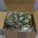 Dingion 8 Pcs Mini Christmas Kitchen Cabinet Wreath Small Christmas Wreath Decorations Norfolk Pine Artificial Berries Snowy Pine Garland with Red Ribbon for Xmas Table Centerpiece Front Door Decor