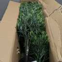 Artificial Cedar Topiary Trees Set of 2,36inch UV-Resistant Faux Shrubs for Outdoor Decor Realistic Fake Plants Front Porch Decor, Artificial Bushes Cypress for Home Front Door Offices (3 ft)