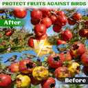 16 oz Bird Repellent Spray for Outdoor, Bat Repellent Spray, Woodpecker Deterrent, Pigeon Repellent for Fruit Tree Garden Farm Roof Railing Patio, Pack