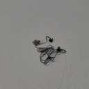 Sport Stereo Earbud Grey