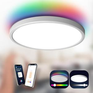 TALOYA Work with Apple Homekit/Siri Smart LED Flush Mount Ceiling Light, 12inch 24W Dimmable 3000-6500K Light Fixture White, RGB Color Changing Light for Living Room, Bedroom, Kitchen