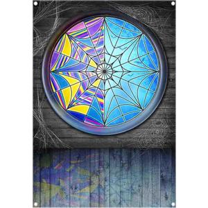 Fabric 5x7ft Halloween Spider Web Window Photography Backdrop Horror Moon Night Vampire Gothic Background Kids Party Decorations Boys Girls Photo Props (60x84 inches (5x7 feet))