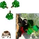 3 Pack Leaf-Shaped Magnetic Jumping Spider Enclosure Ledges with Strong Magnets  Perfect Accessories for Spoods & Jumping Spiders, Durable Habitat Dcor (Terrarium Not Included)