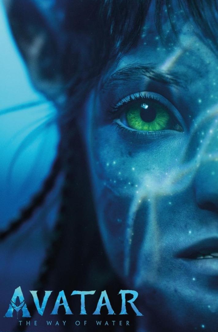Avatar: The Way Of Water (2022) - Face One Sheet Wall Poster, 19L" x 13W", Premium Unframed Version