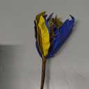 Briful 12'' Large Heads Christmas Glitter Poinsettia Flowers Christmas Tree Ornaments Set of 4 Artificial Flowers with Picks Stems for Xmas Tree Party DIY Holiday Decorations, Dark Blue