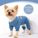 Puppy Clothes Dog Sweater for Small Dogs Girl Boy Winter Warm Soft Puppy Pjs Stretchy Jumpsuit Doggie Pet Clothes Outfits (Steel Blue, XX-Small)