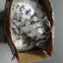 SEALY Clean Luxury Slumber Pillow, Odor Inhibiting, Cotton Cover Machine Washable, King, White, 2 Pack