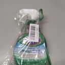 Clorox Clean-Up 32 Oz. All-Purpose Cleaner (2049)
