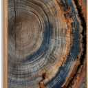 IBHJSART Framed Tree Ring Canvas Wall Art Vintage Colorful Wood Stump Painting Prints Modern Minimalist Pictures Neutral Nature Rustic Farmhouse Decor Living Room Bedroom Bathroom Office (24"x36" Natural)