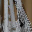 Lighted Birch Tree, 2 Pack 6 Feet 144 Warm White Lights, Prelit White Artificial Christmas Trees for Indoor Outdoor Decor Garden Wedding Party Bedroom Decoration