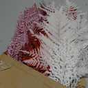 50 Pcs Valentines Picks Decoration 16.9 Inch Red Pink White Valentines Tree Picks and Sprays Glitter Artificial Branch Stems Table Decor for Tree Topper Vase Table Party Decor,  Red, Pink, White