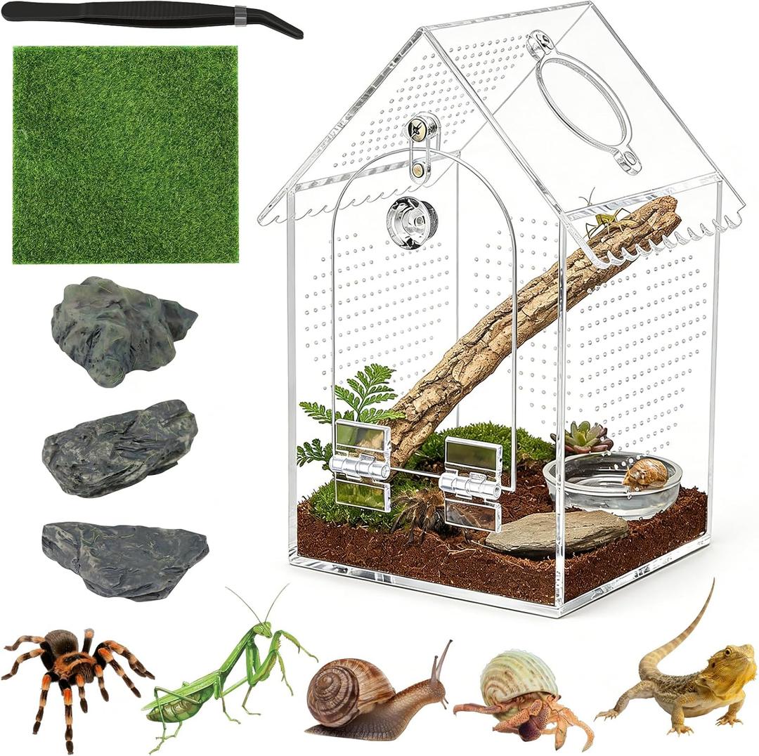 Jumping Spider Enclosure Acrylic Terrarium - 8" Tall Vertical Habitat with Lock & Ventilation, Escape-Proof Front Opening Design with Feeding Port for Spiders, Mantis, Bugs (5" L x 5" W)