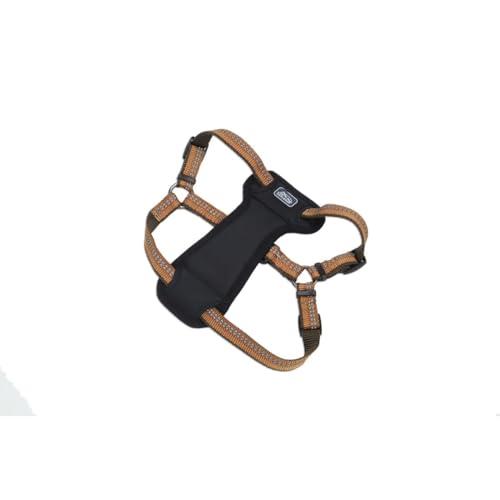 Coastal Pet K9 Explorer Reflective Adjustable Padded Dog Harness - Plush Chest Pad for Comfort - No-Pull Dog Harness for Small and Large Dogs - Campfire Orange - 1" x 20"-30", Medium