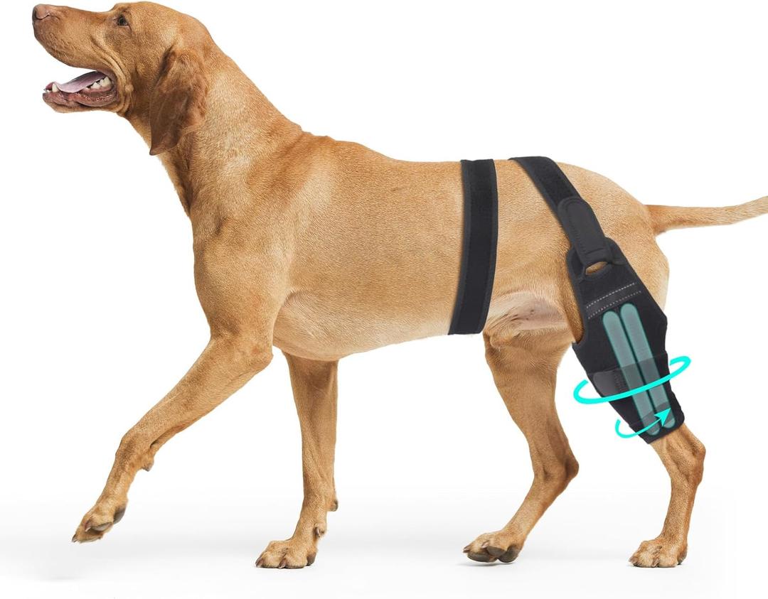 Dog ACL Knee Brace,Adjustable Rear Leg Support Brace, Cruciate Ligament Injury Recovery, Arthritis & Joint Pain Relief, XXL
